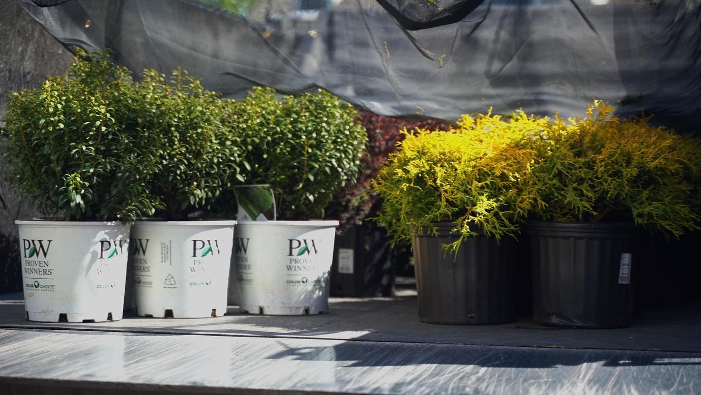 Landscaping project in Bernardsville