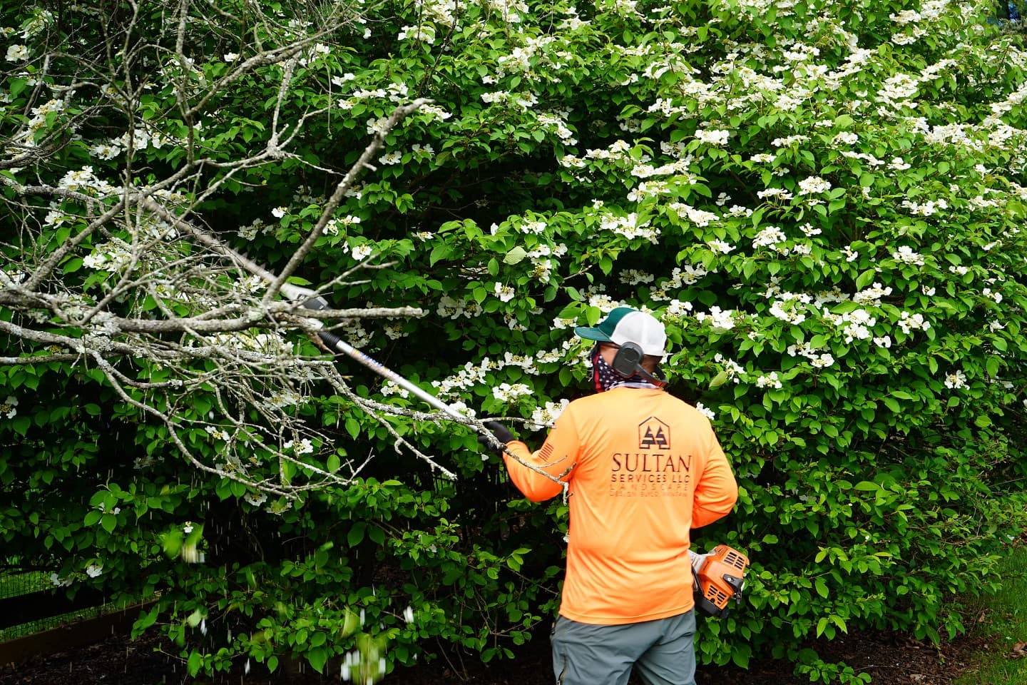 Landscaping project in Bridgewater