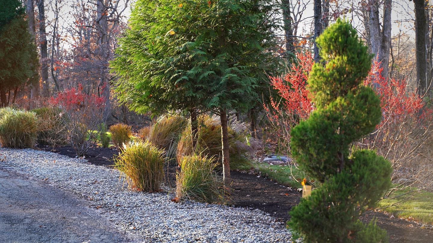 Estate landscape planting along gravel driveway in Far Hills