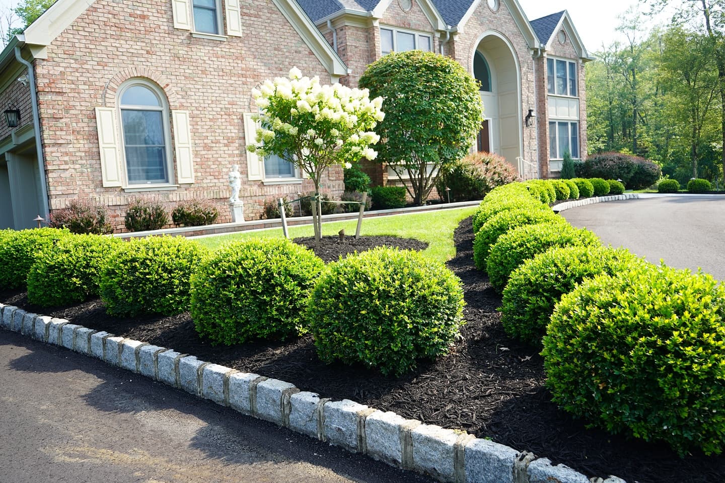 Landscape Design & Installation