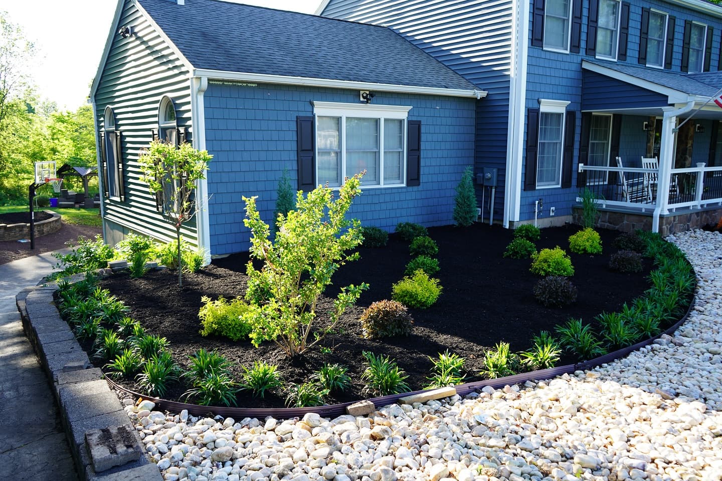 Fresh landscape planting with mulch beds and mixed shrubs