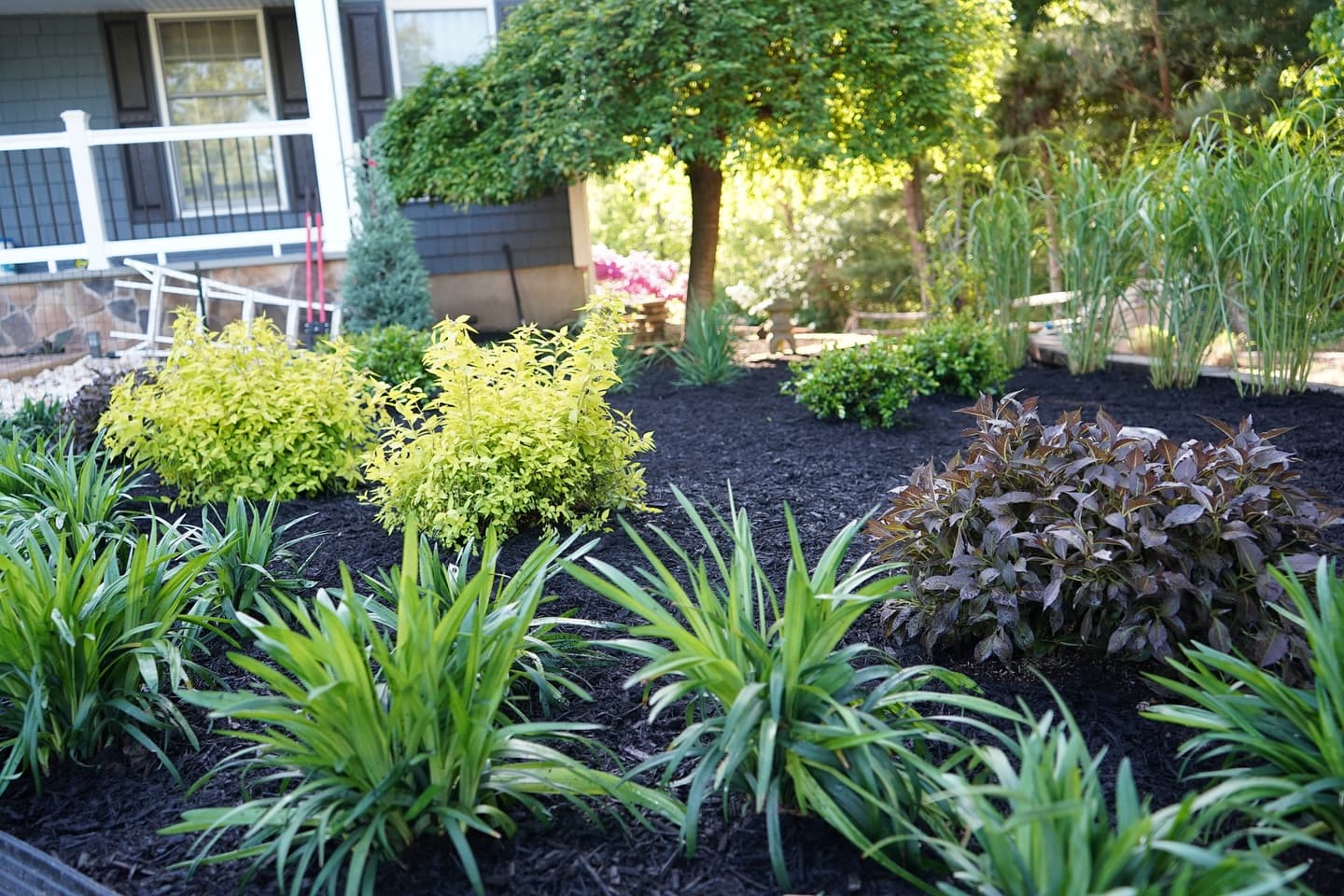 Closeup of landscape planting bed with mixed shrubs and perennials