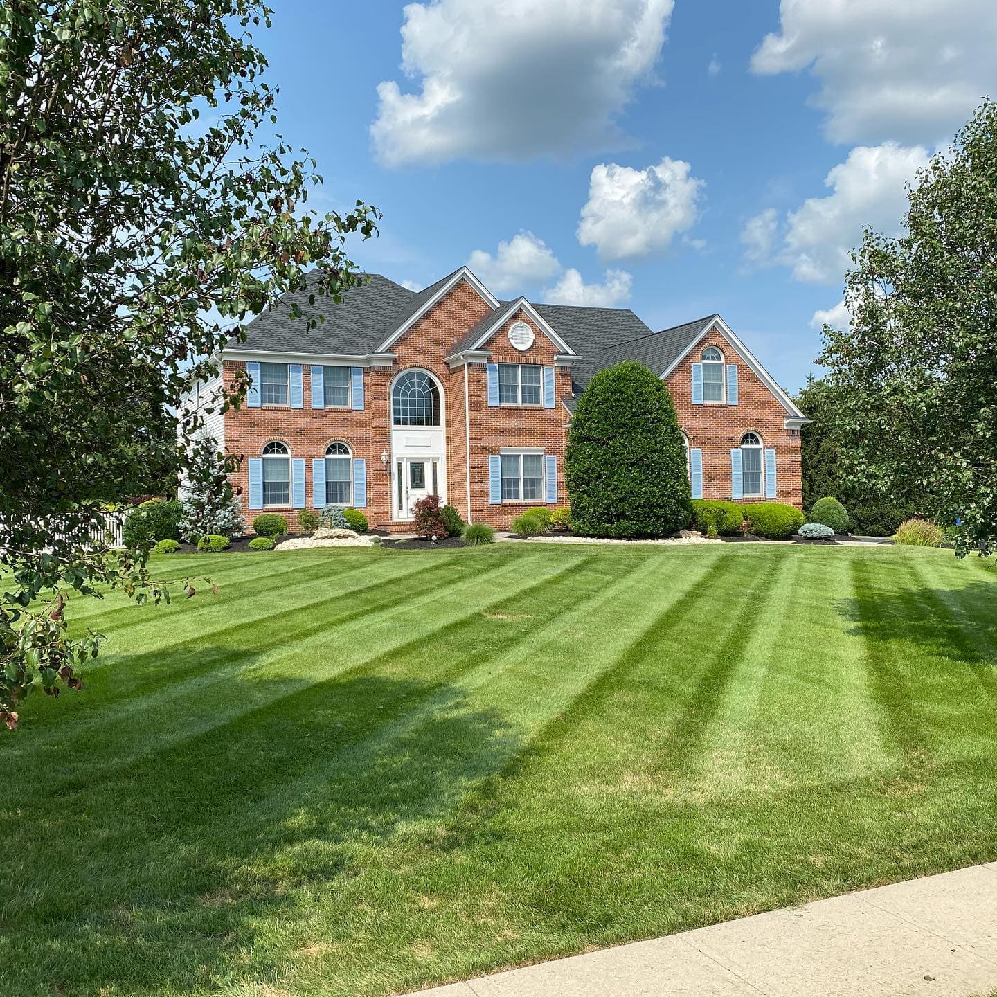 Weekly Lawn Care & Turf Programs