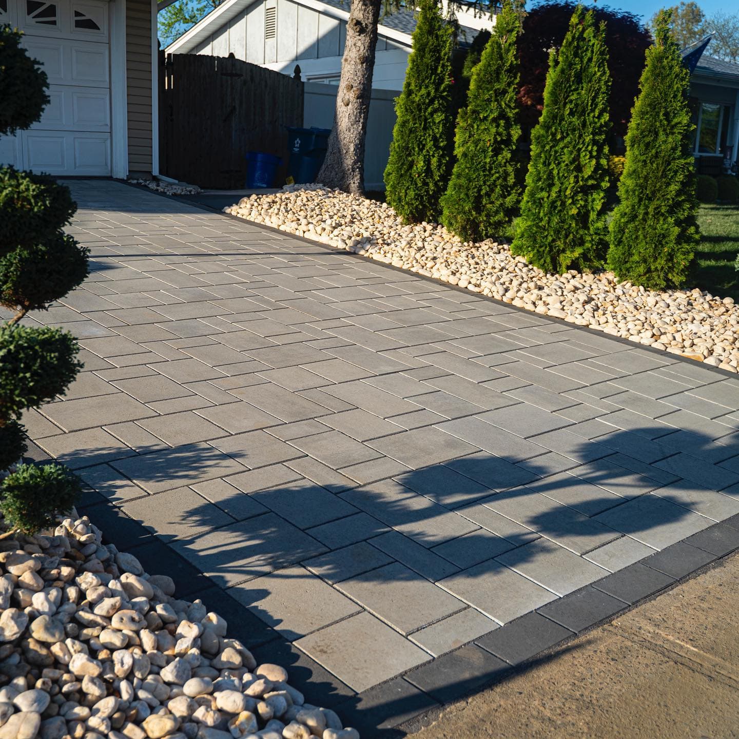 Paver driveway and walkway with arborvitae screening