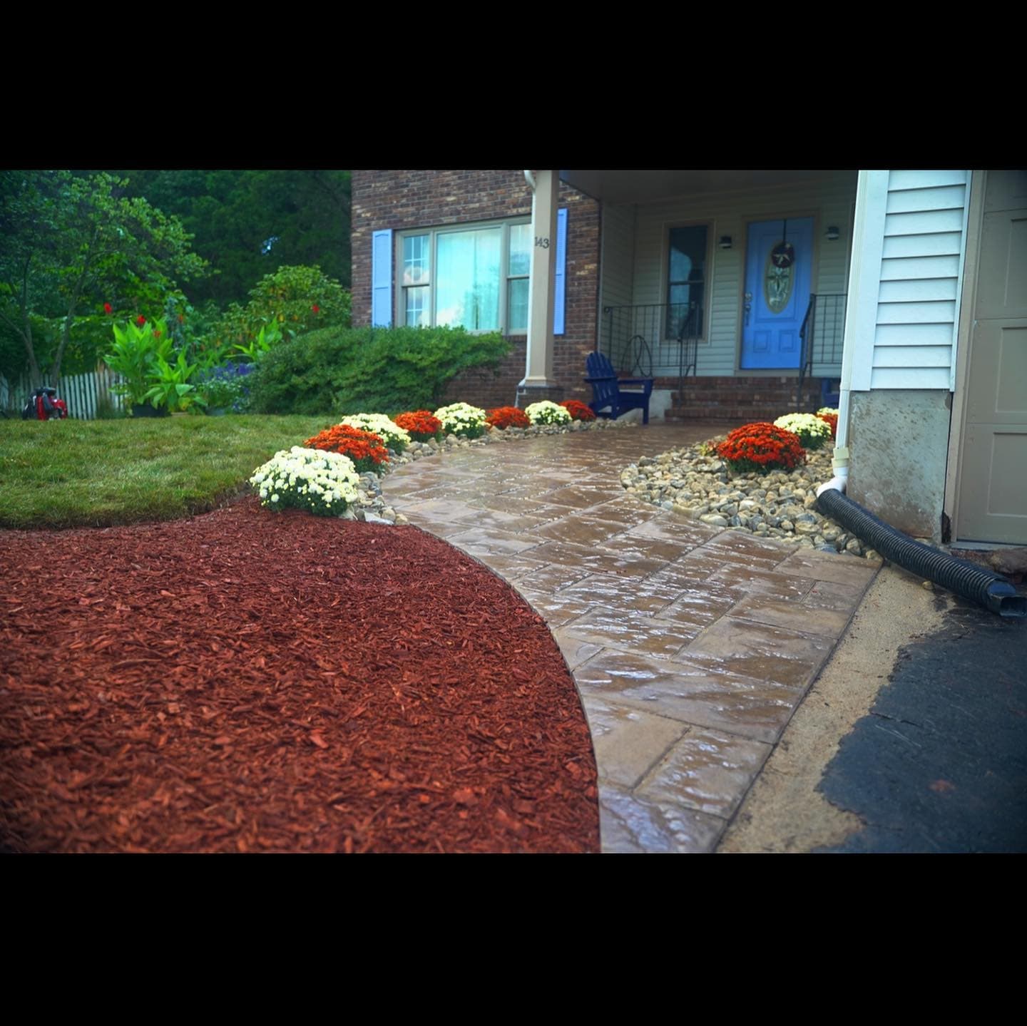 Red dyed mulch with seasonal mums along front walkway