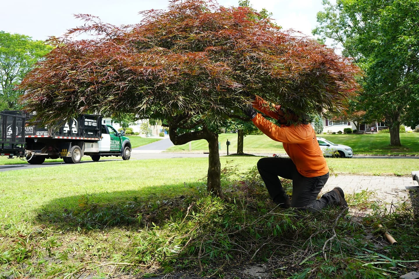 When Should You Schedule Spring Cleanup in Central NJ?