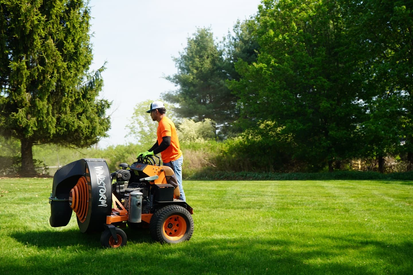 Spring & Fall Cleanup